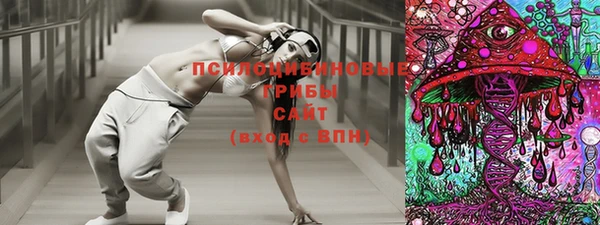 ГАЛЛЮЦИНОГЕННЫЕ ГРИБЫ Алексин