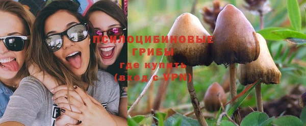 ГАЛЛЮЦИНОГЕННЫЕ ГРИБЫ Алексин
