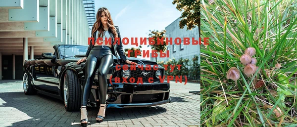 ешки Надым