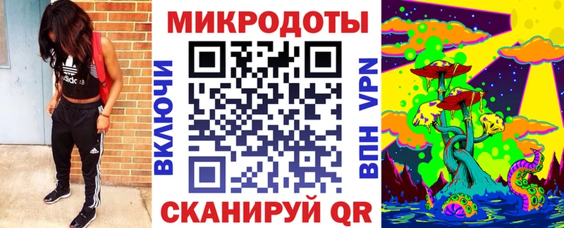 Галлюциногенные грибы Psilocybe  где можно купить   Алдан 
