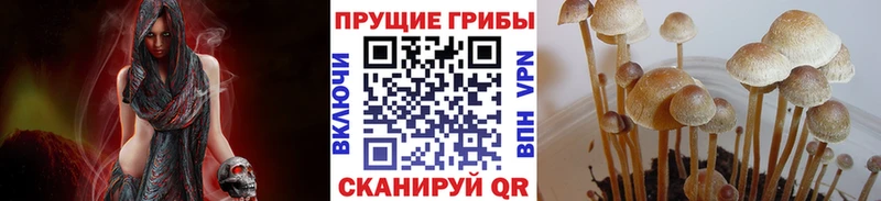 Галлюциногенные грибы GOLDEN TEACHER Алдан
